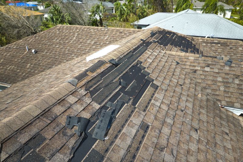 Roof Evaluation